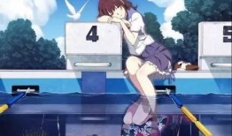 大刺客烟花爆料视频下载,震撼视听盛宴背后的故事